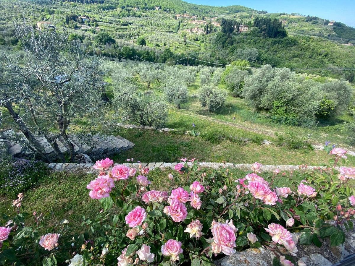 Florence Villa Violetta Bagno a Ripoli Exterior foto